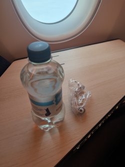 1000043617.jpg 1000043617.jpg