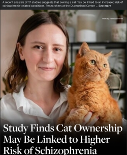 Screenshot 2025-11-24 at 6.50.13 pm.png