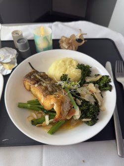 IMG_9767.jpeg IMG_9767.jpeg