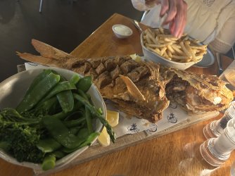 IMG_7240.jpeg IMG_7240.jpeg