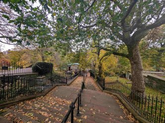 PXL_20251026_083245979.jpg PXL_20251026_083245979.jpg