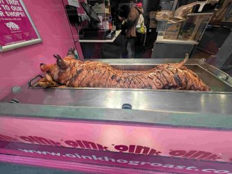 PXL_20251026_085301007.jpg PXL_20251026_085301007.jpg