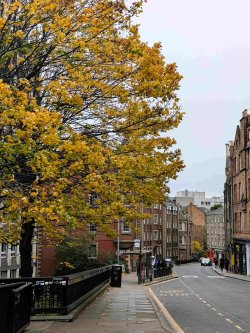 PXL_20251026_091129753.jpg PXL_20251026_091129753.jpg