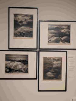 PXL_20251026_124521540.MP.jpg PXL_20251026_124521540.MP.jpg