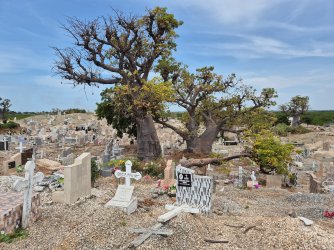 2025-11-30 11.47.58.jpg