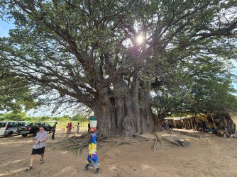 2025-11-30 11.01.15.jpg