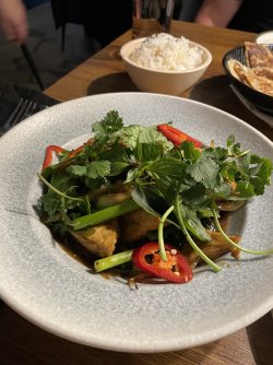 IMG_4182.jpeg IMG_4182.jpeg