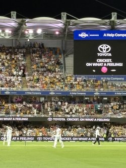 IMG_4508.jpeg IMG_4508.jpeg