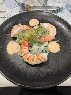 IMG_4527.jpeg IMG_4527.jpeg