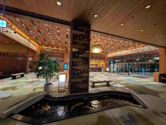 PXL_20251031_113645048.jpg PXL_20251031_113645048.jpg