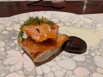 PXL_20251031_094444269.jpg PXL_20251031_094444269.jpg