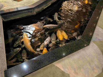 PXL_20251031_113616027.MP.jpg PXL_20251031_113616027.MP.jpg