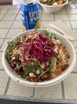 IMG_4557.jpeg IMG_4557.jpeg