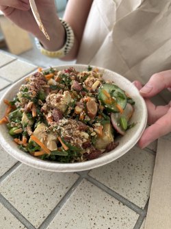 IMG_4559.jpeg IMG_4559.jpeg