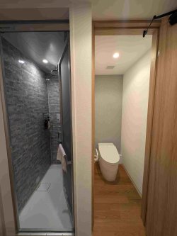 PXL_20251101_121555536.jpg PXL_20251101_121555536.jpg