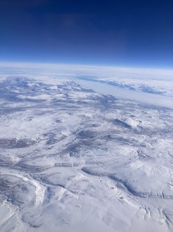 IMG_9463.jpeg IMG_9463.jpeg