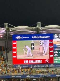 IMG_4586.jpeg IMG_4586.jpeg