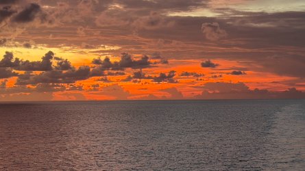 IMG_0040.JPEG IMG_0040.JPEG