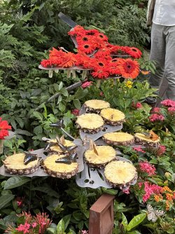 IMG_7789.jpeg IMG_7789.jpeg