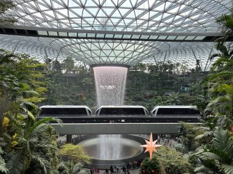 IMG_7729.jpeg IMG_7729.jpeg