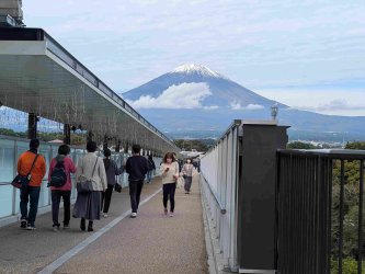 PXL_20251102_011927441.jpg PXL_20251102_011927441.jpg