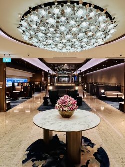 IMG_3410.jpeg IMG_3410.jpeg