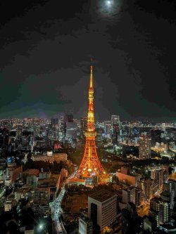 PXL_20251102_084430098.jpg PXL_20251102_084430098.jpg