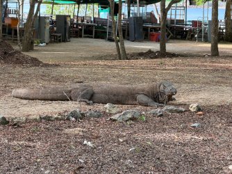 IMG_0059.JPG IMG_0059.JPG