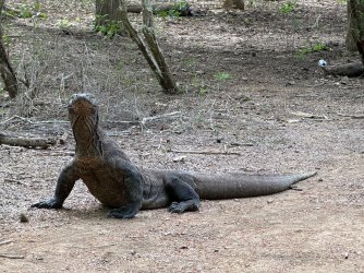 IMG_0064.JPG IMG_0064.JPG