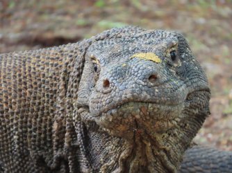 IMG_0574.JPG IMG_0574.JPG