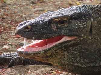 IMG_0579.JPG IMG_0579.JPG