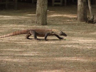 IMG_0581.JPG IMG_0581.JPG