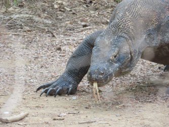 IMG_0599.JPG IMG_0599.JPG