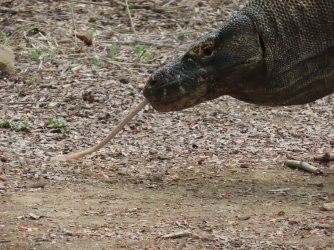 IMG_0601.JPG IMG_0601.JPG