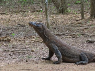 IMG_0603.JPG IMG_0603.JPG