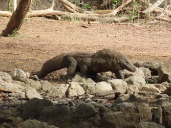 IMG_0609.JPG IMG_0609.JPG