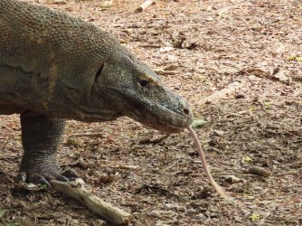 IMG_0612.JPG IMG_0612.JPG