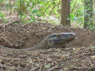 IMG_0616.JPG IMG_0616.JPG