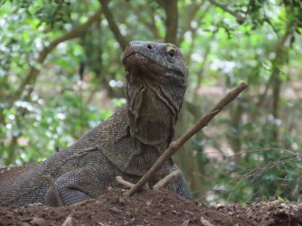 IMG_0618.JPG IMG_0618.JPG