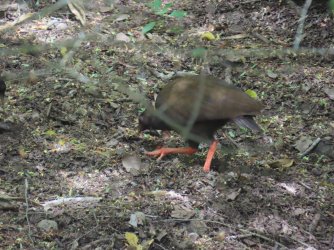 IMG_0627.JPG IMG_0627.JPG