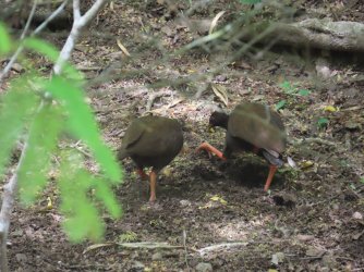 IMG_0628.JPG IMG_0628.JPG