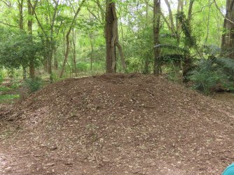 IMG_0621.JPG IMG_0621.JPG