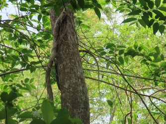 IMG_0629.JPG IMG_0629.JPG