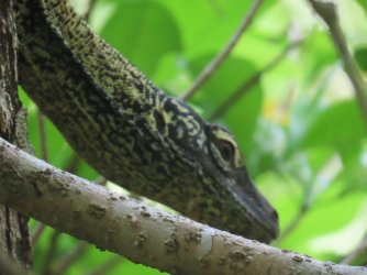 IMG_0636.JPG IMG_0636.JPG