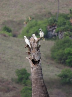 IMG_0589.JPG IMG_0589.JPG