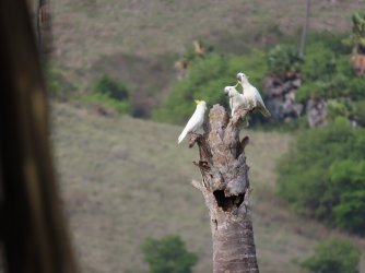 IMG_0591.JPG IMG_0591.JPG