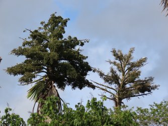 IMG_0592.JPG IMG_0592.JPG