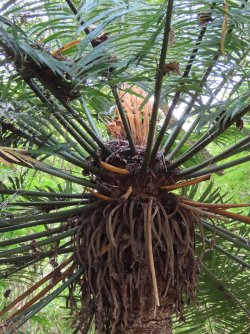 IMG_0596.JPG IMG_0596.JPG