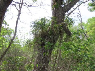 IMG_0640.JPG IMG_0640.JPG