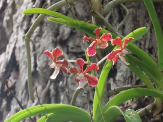 IMG_0641.JPG IMG_0641.JPG